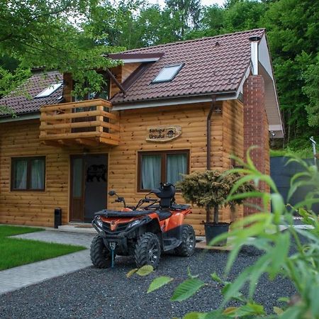 Bear'S Lair Chalet Порумбаку-де-Жос Екстер'єр фото