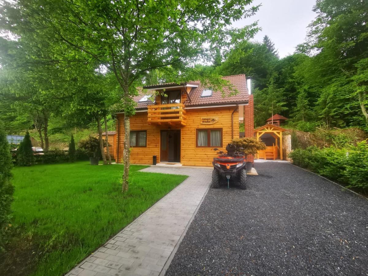 Bear'S Lair Chalet Порумбаку-де-Жос Екстер'єр фото