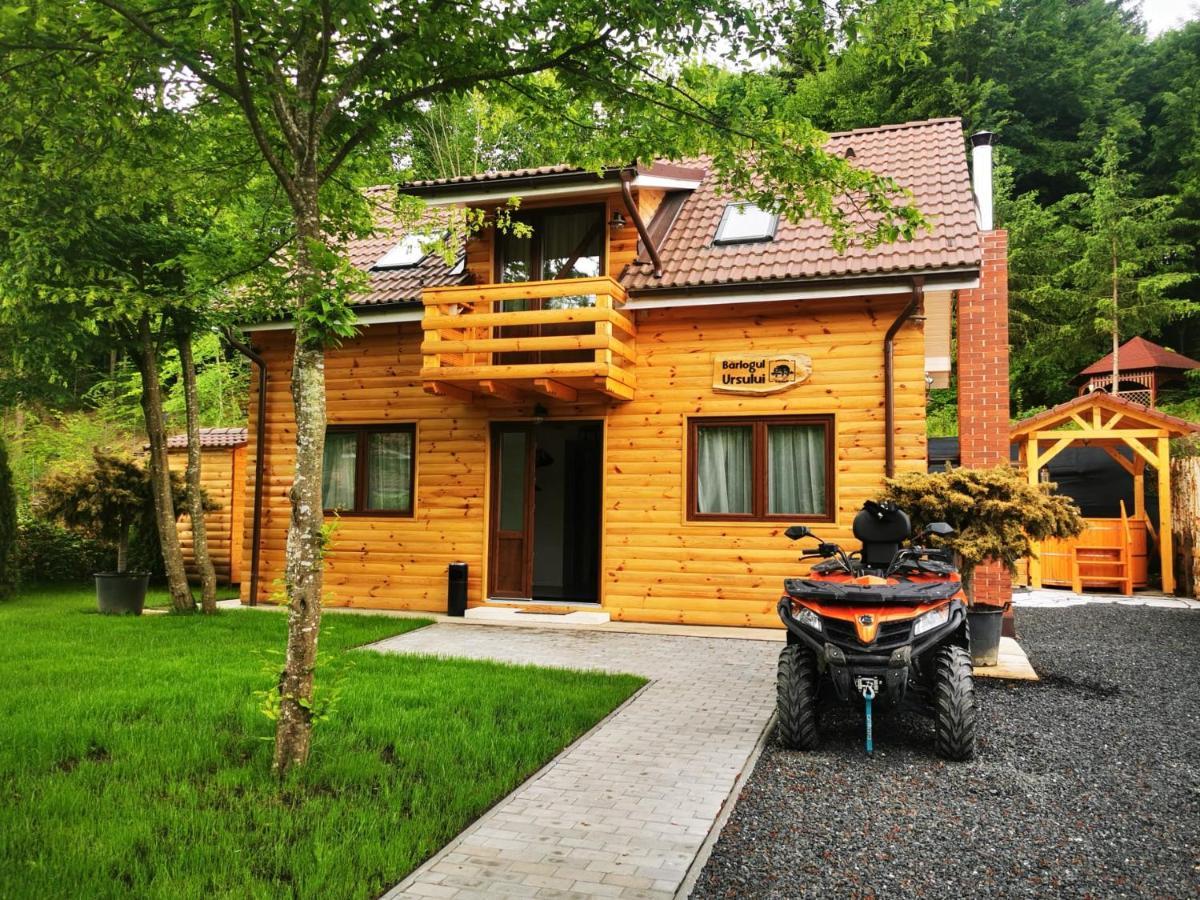 Bear'S Lair Chalet Порумбаку-де-Жос Екстер'єр фото