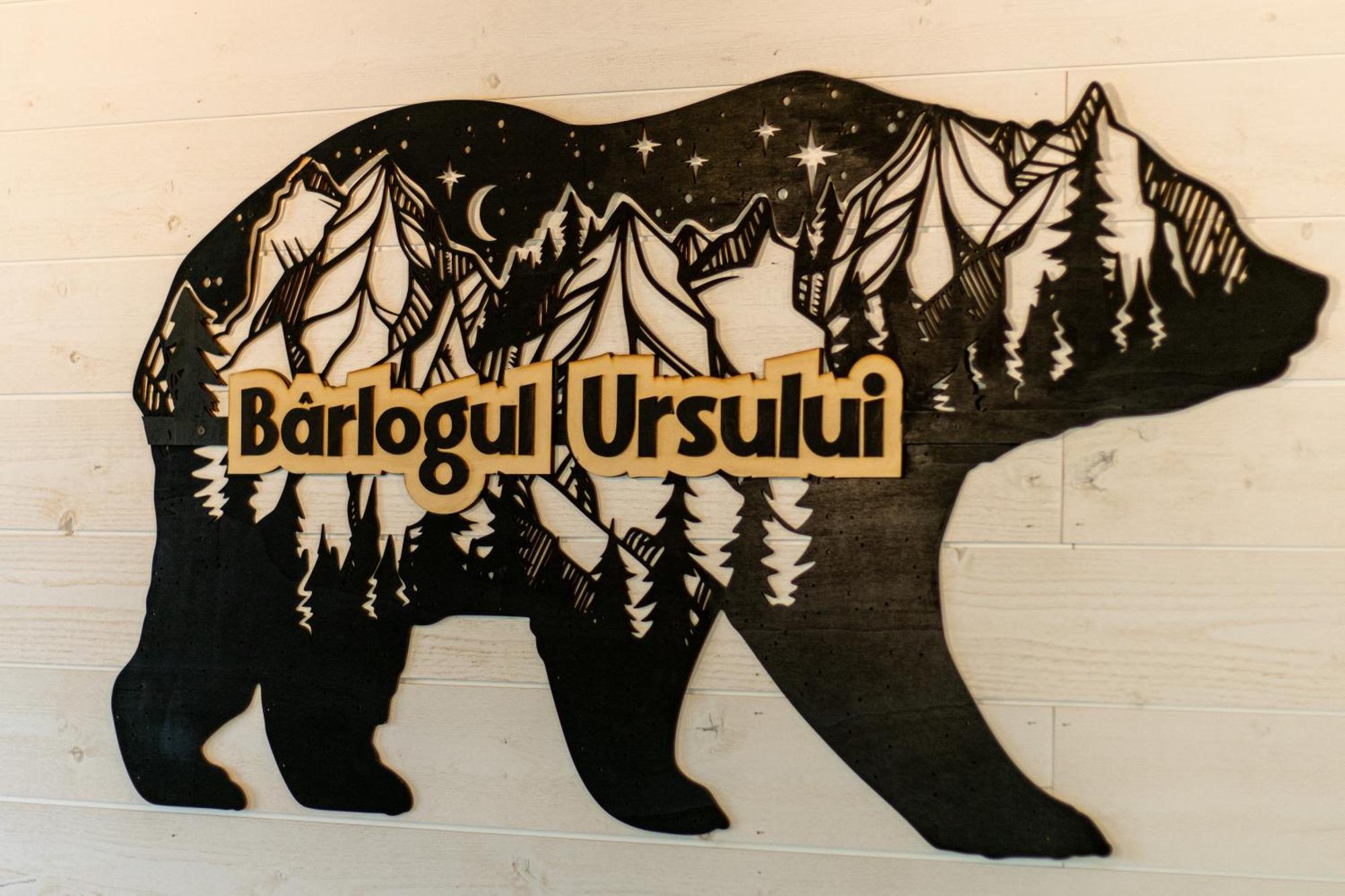 Bear'S Lair Chalet Порумбаку-де-Жос Екстер'єр фото